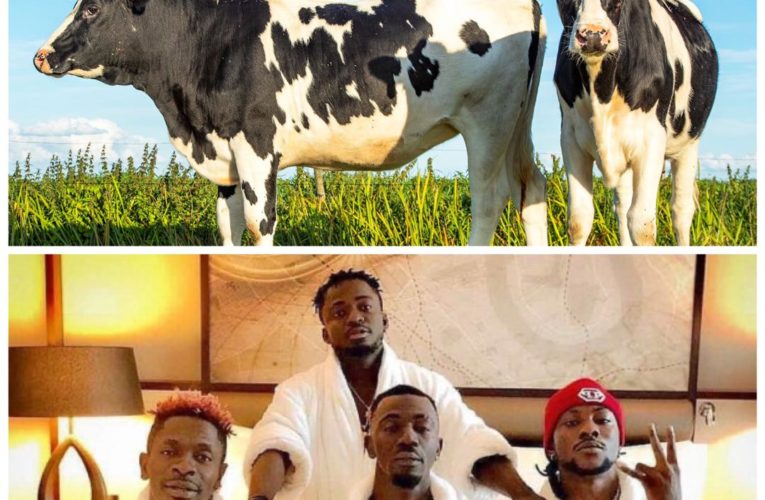 “Shatta Wale Has Blessed The Militants With Hit Songs – They Should Buy Him A Cow” – Nana Yaw Wiredu