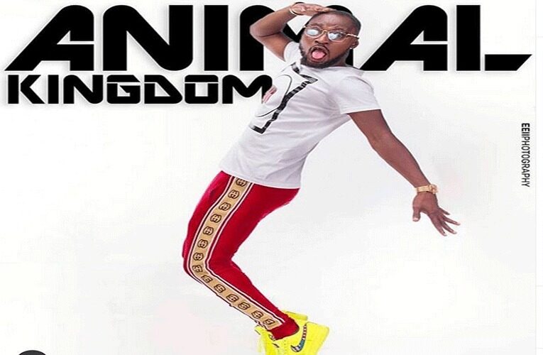 Watch! Funny Face Spotted Selling His Animal Kingdom CDs On The Streets