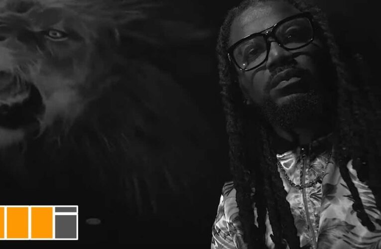 Samini Finally Releases Forever Visuals To His Fans