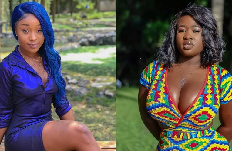 “I Am Not Bothered If I look Like Actress Mercy Asiedu But It Was Disrespectful Coming From Efia Odo” – Sista Afia