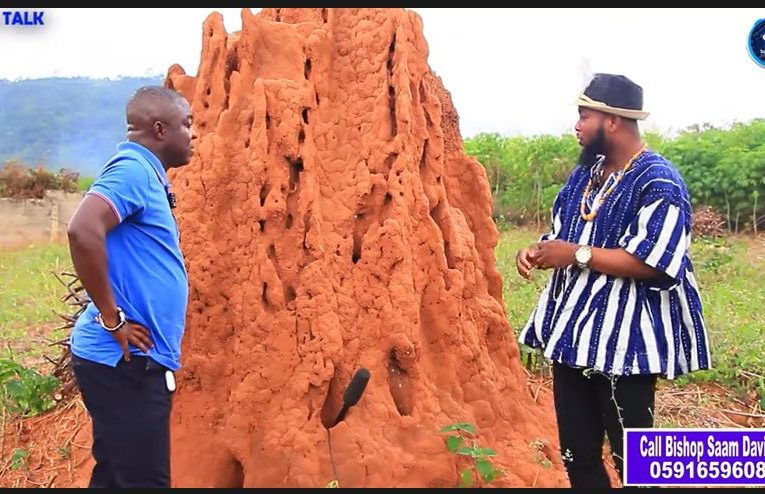 Video + The Ant Hill Can be Spiritually Powerful But You Never Knew This